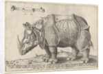 The Rhinoceros, Enea Vico by Albrecht Dürer