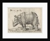 The Rhinoceros, Enea Vico by Albrecht Dürer
