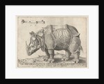 The Rhinoceros, Enea Vico by Albrecht Dürer
