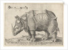 The Rhinoceros, Enea Vico by Albrecht Dürer