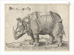 The Rhinoceros, Enea Vico by Albrecht Dürer