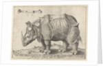 The Rhinoceros, Enea Vico by Albrecht Dürer