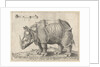 The Rhinoceros, Enea Vico by Albrecht Dürer