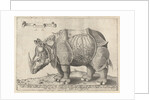 The Rhinoceros, Enea Vico by Albrecht Dürer