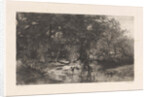Trees along the water by Willem Steelink I