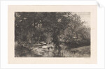 Trees along the water by Willem Steelink I