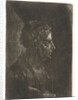 Bust of a man in profile by Justus van den Nijpoort