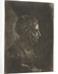 Bust of a man in profile by Justus van den Nijpoort