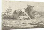 Two reclining sheep by Jan van der Meer II
