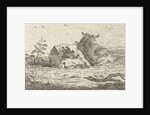 Two reclining sheep by Jan van der Meer II