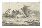 Two reclining sheep by Jan van der Meer II