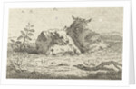 Two reclining sheep by Jan van der Meer II