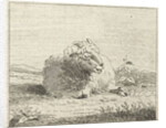 Lying sheep by Jan Matthias Cok