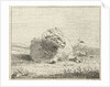 Lying sheep by Jan Matthias Cok