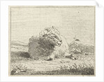 Lying sheep by Jan Matthias Cok