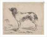Standing dog by Jacob Toorenvliet