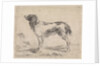 Standing dog by Jacob Toorenvliet