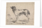 Standing dog by Jacob Toorenvliet