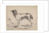 Standing dog by Jacob Toorenvliet