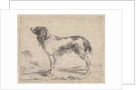 Standing dog by Jacob Toorenvliet