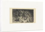 Lion and lioness by Frederik Willem Zürcher
