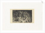 Lion and lioness by Frederik Willem Zürcher