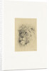 Head of a lion by Frederick Willem Zurcher