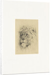 Head of a lion by Frederick Willem Zurcher