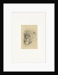 Head of a lion by Frederick Willem Zurcher
