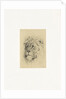 Head of a lion by Frederick Willem Zurcher