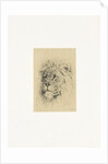 Head of a lion by Frederick Willem Zurcher