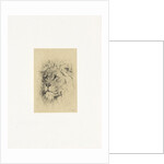 Head of a lion by Frederick Willem Zurcher