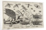 Locusts and fantasy creature with wings and webbed by Nicolaes de Bruyn