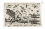Locusts and fantasy creature with wings and webbed by Nicolaes de Bruyn