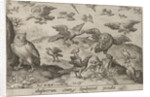 Owl with prey attacked by other bird by Nicolaes de Bruyn