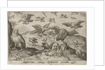 Owl with prey attacked by other bird by Nicolaes de Bruyn