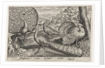 Two Peacocks and turkey, Germany by Nicolaes de Bruyn