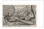 Two Peacocks and turkey, Germany by Nicolaes de Bruyn