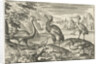 Five birds including spoonbill by Nicolaes de Bruyn
