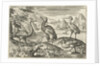 Five birds including spoonbill by Nicolaes de Bruyn