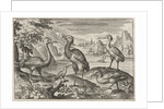Crowned Crane between two ostriches by Nicolaes de Bruyn