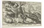 rabbits, squirrel, guinea pig and mouse by Nicolaes de Bruyn