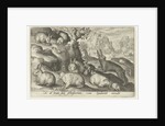 rabbits, squirrel, guinea pig and mouse by Nicolaes de Bruyn