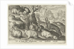 rabbits, squirrel, guinea pig and mouse by Nicolaes de Bruyn