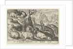 rabbits, squirrel, guinea pig and mouse by Nicolaes de Bruyn