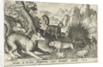 Wild boar, fox, beaver, porcupine in Frogs by Nicolaes de Bruyn