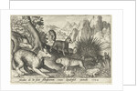 Wild boar, fox, beaver, porcupine in Frogs by Nicolaes de Bruyn