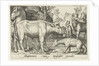 Taurus and other livestock and hyenas by Nicolaes de Bruyn