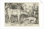 Taurus and other livestock and hyenas by Nicolaes de Bruyn