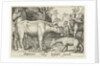 Taurus and other livestock and hyenas by Nicolaes de Bruyn